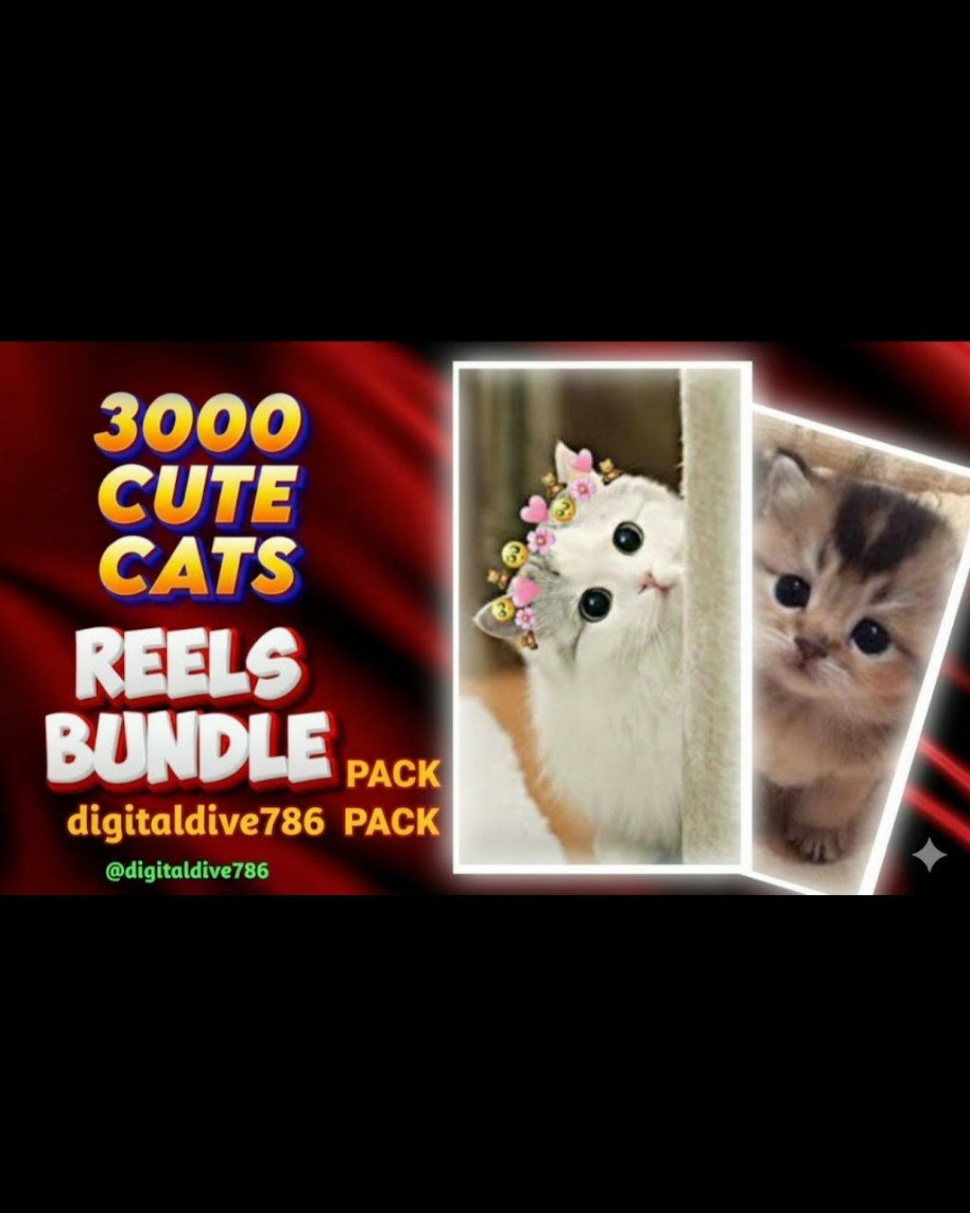 🐾 The Ultimate 3000 Viral Cute Cat Reels Bundle - No Watermark, Resale Ready! 😻