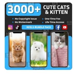 🐾 The Ultimate 3000 Viral Cute Cat Reels Bundle – No Watermark, Resale Ready! 😻
