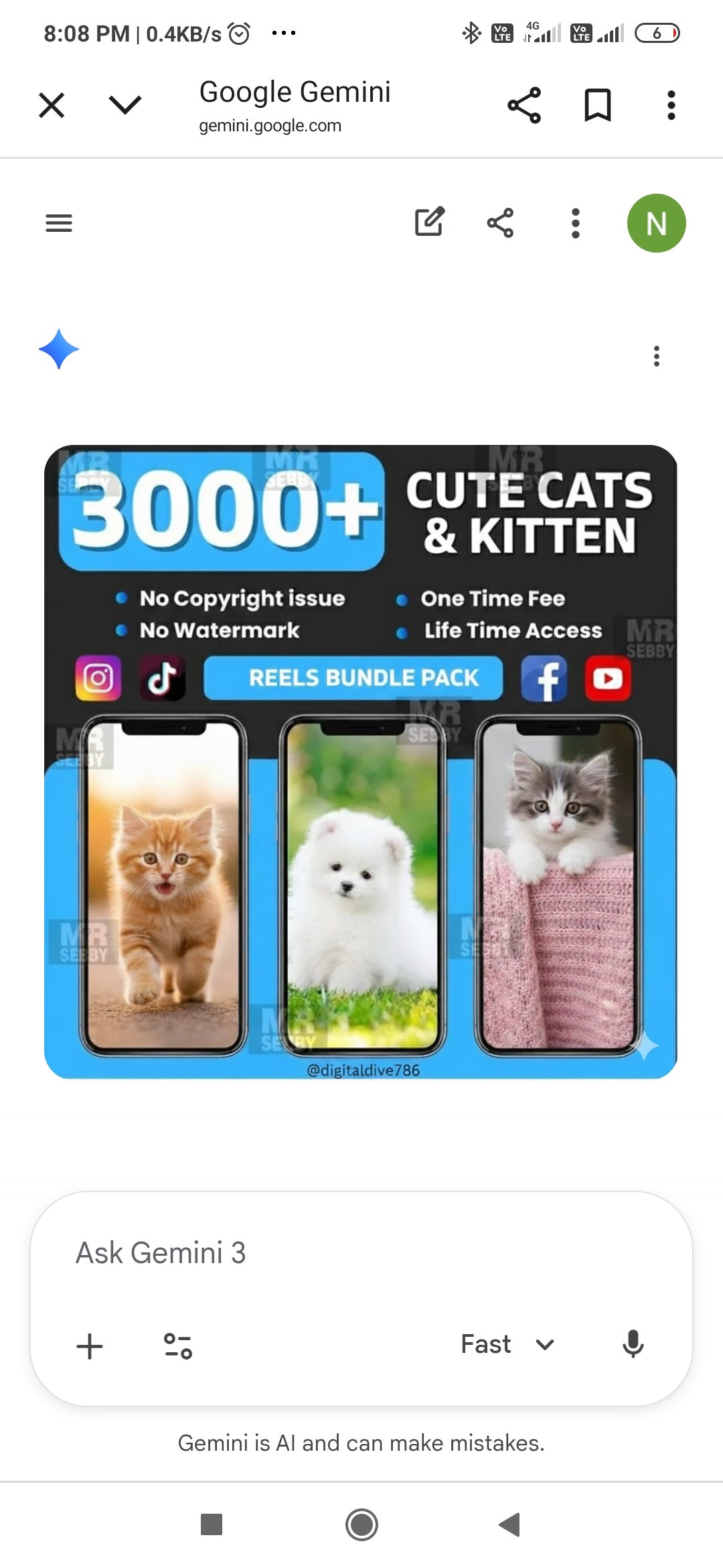๐พ The Ultimate 3000 Viral Cute Cat Reels Bundle - No Watermark, Resale Ready! ๐ป