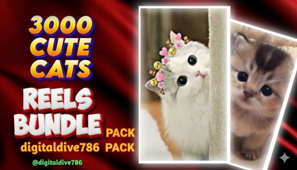 🐾 The Ultimate 3000 Viral Cute Cat Reels Bundle - No Watermark, Resale Ready! 😻 - Image 2